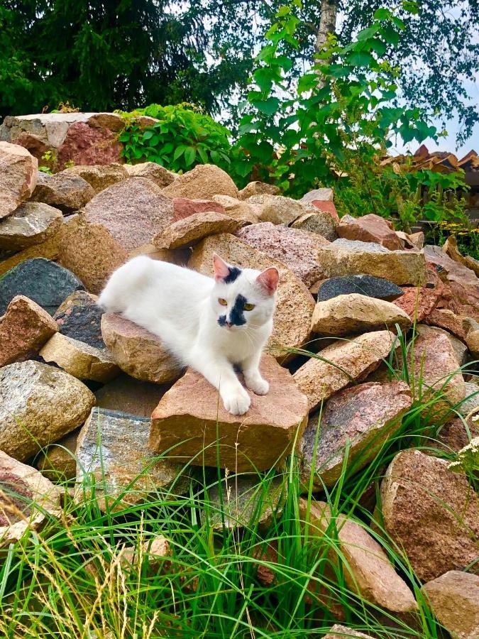 Villa Cat Stone Pisz Exterior foto