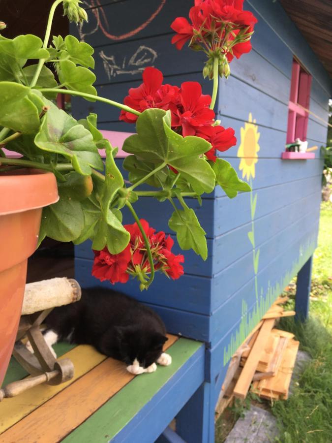 Villa Cat Stone Pisz Exterior foto