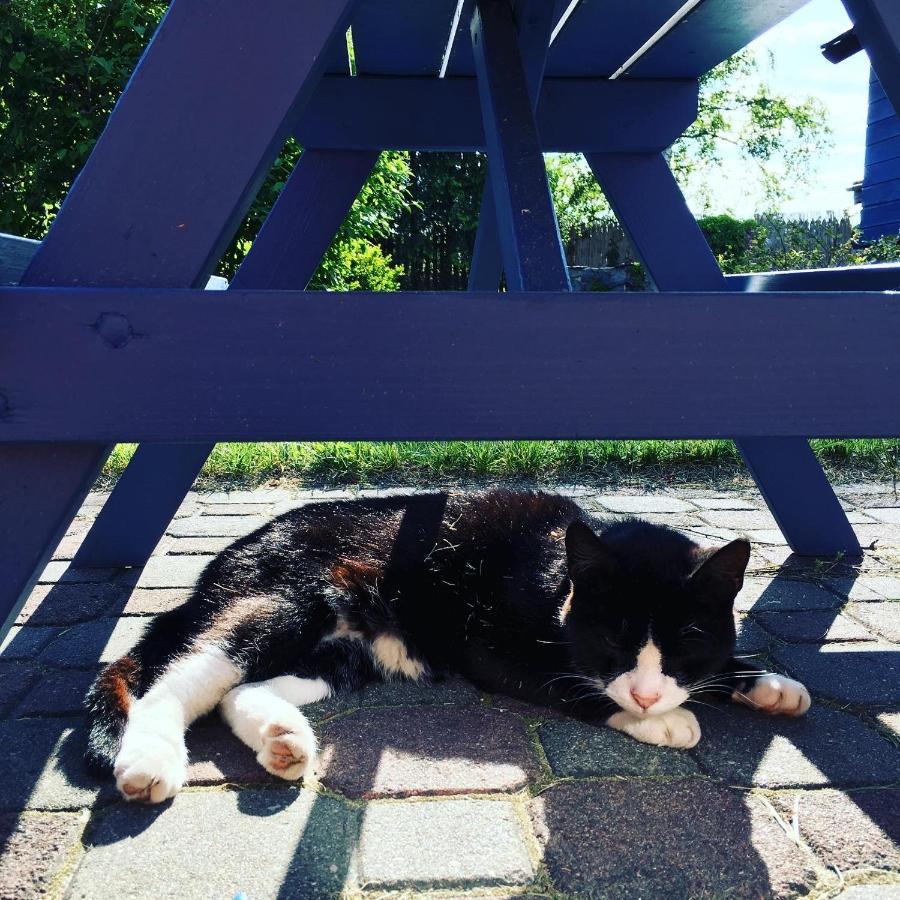 Villa Cat Stone Pisz Exterior foto